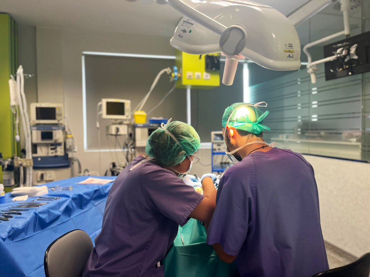 CTF ASACEC tweet media