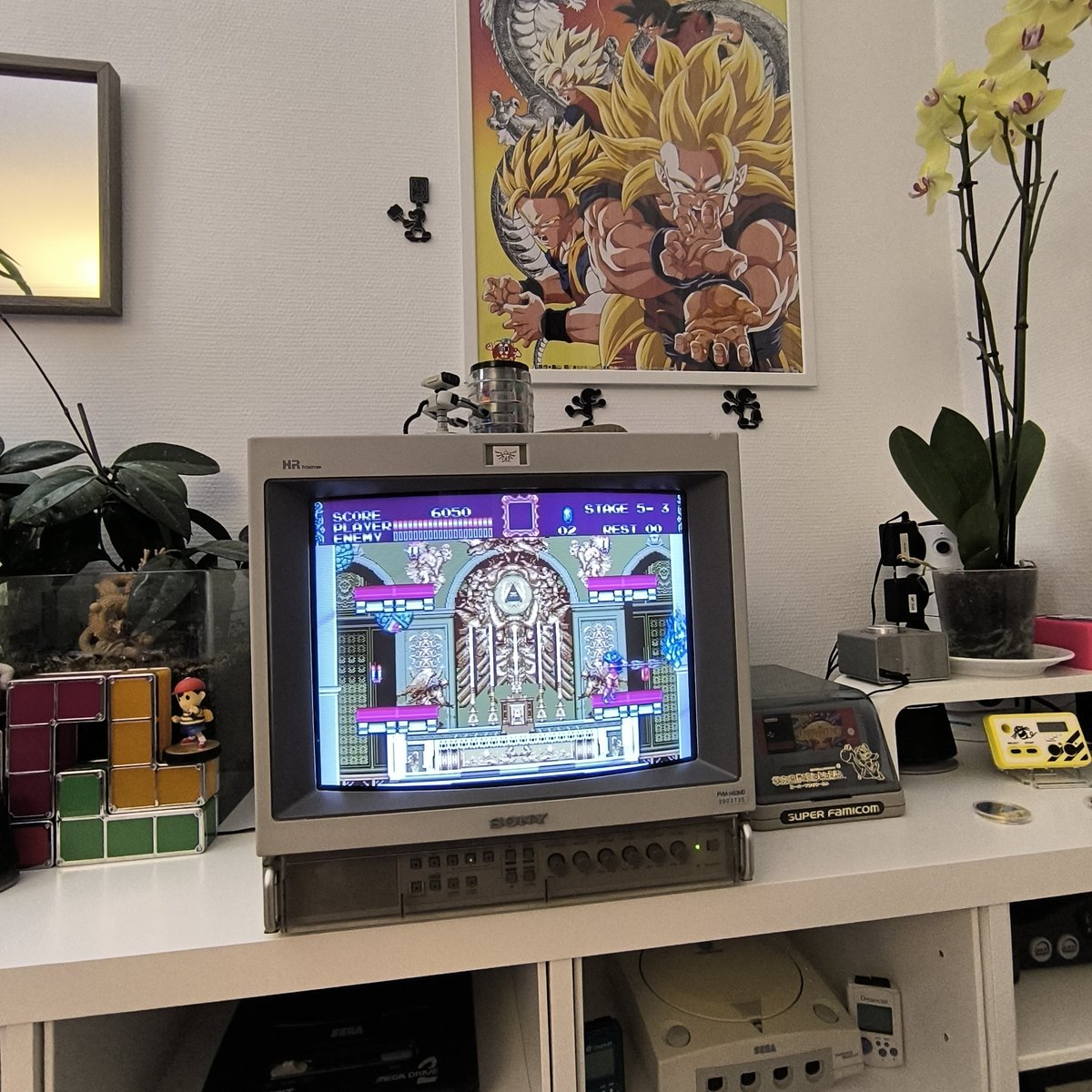 Petite session nocturne pour bien commencer le weekend 😸

#retrogaming 🦇