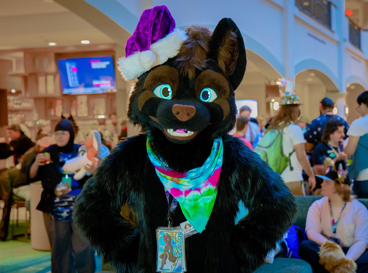 Alamo City Furry Invasion tweet media