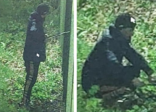 Kent Police Dover tweet media