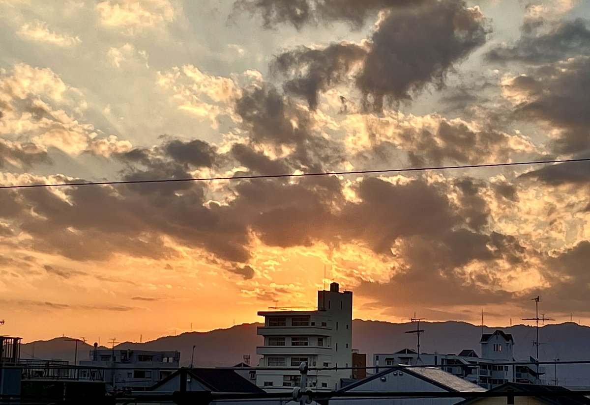 和矢006 tweet media