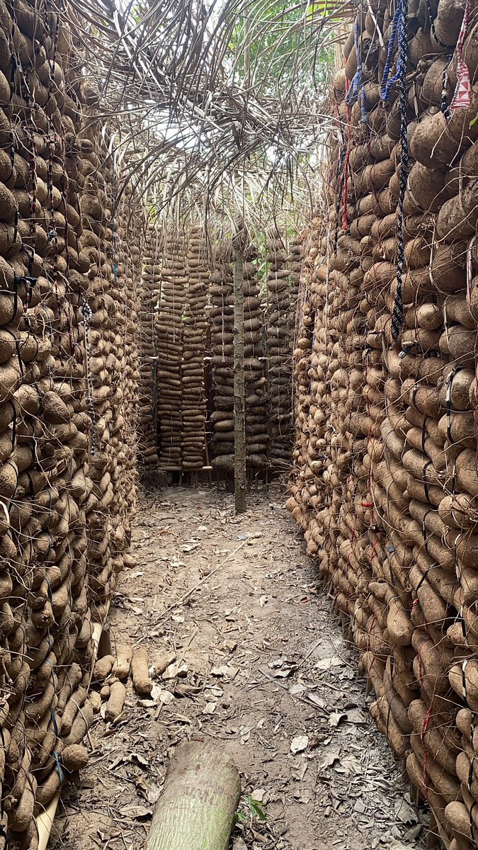 Jamessucre2's tweet image. TRUE LOVE STILL EXISTS, THE STORY OF A YOUNG UNN GRADUATE FARMER

“CHUKS ex and the girl he wanted to marry told him to choose between a 25k job and the relationship, or go back to the village and farm and forget the friendship. Chuks loves farming and that’s what he wanted to do