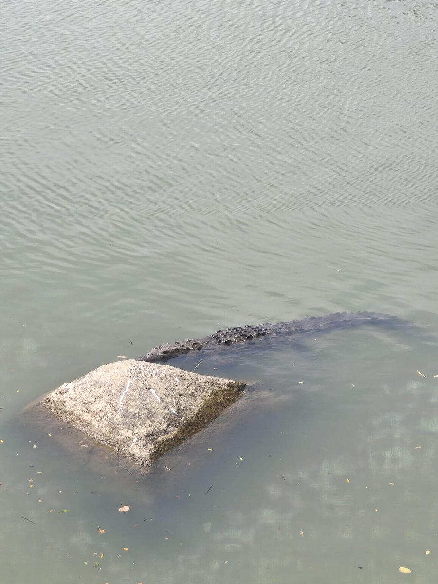 FonzoPacha's tweet image. OK OK C&apos;ÉTAIT POUR ÇA