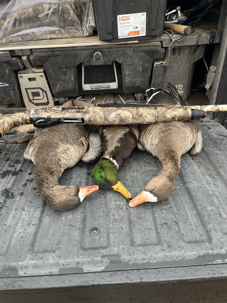 Omaha_Stylee 🇺🇸 🦆 (@holmes31rob) on Twitter photo 