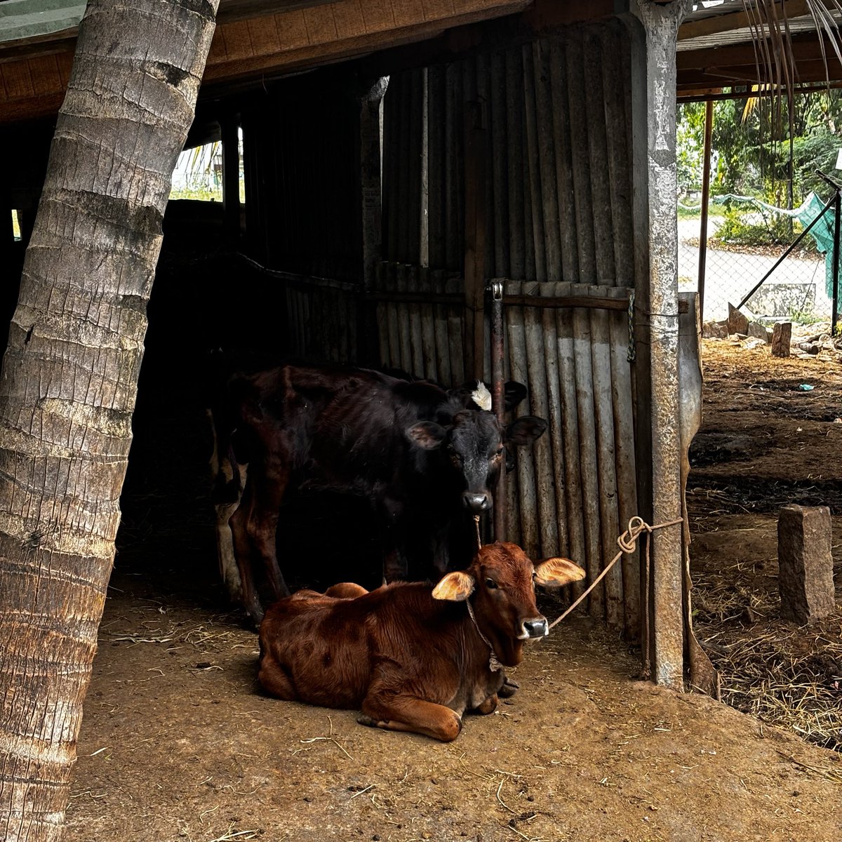 tharunanandh's tweet image. touched grass in cbe