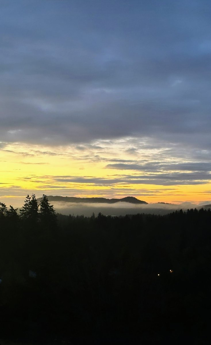 's tweet image. Good night 🌃 Fam

The market is not looking very good