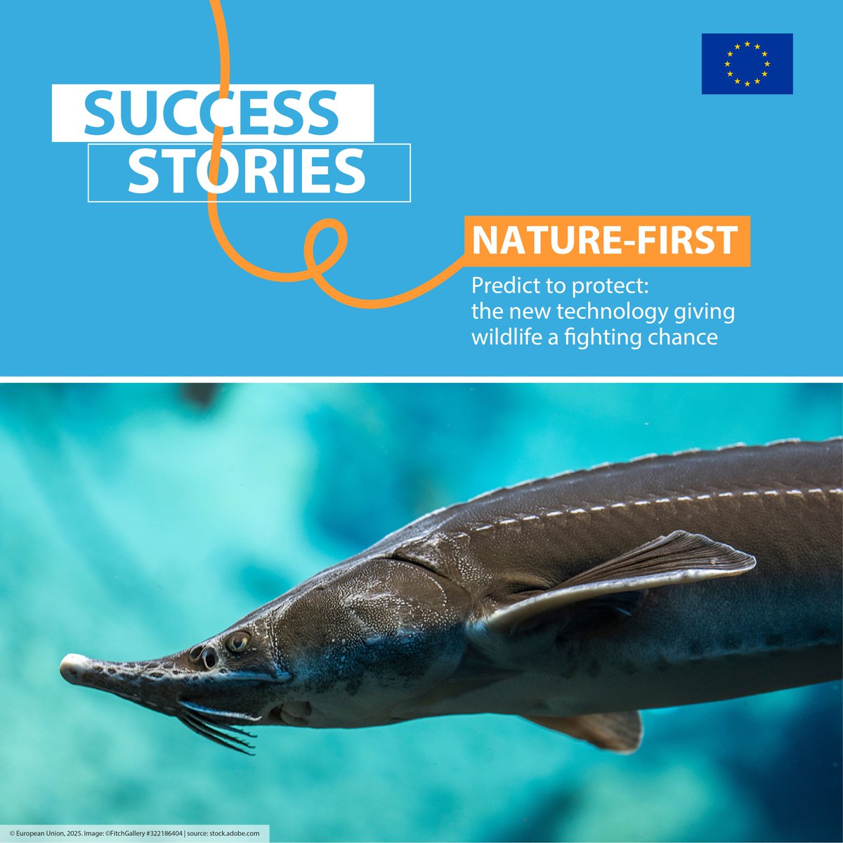 HorizonEU's tweet image. 🐾 From tracking sturgeon to predicting bear activity, the #EUfunded NATURE-FIRST project is using digital twins, forensics &amp;amp; real-time data to predict and prevent loss of biodiversity.

Read the article here: link.europa.eu/RJfW4N

#ResearchImpactEU #Science4EU