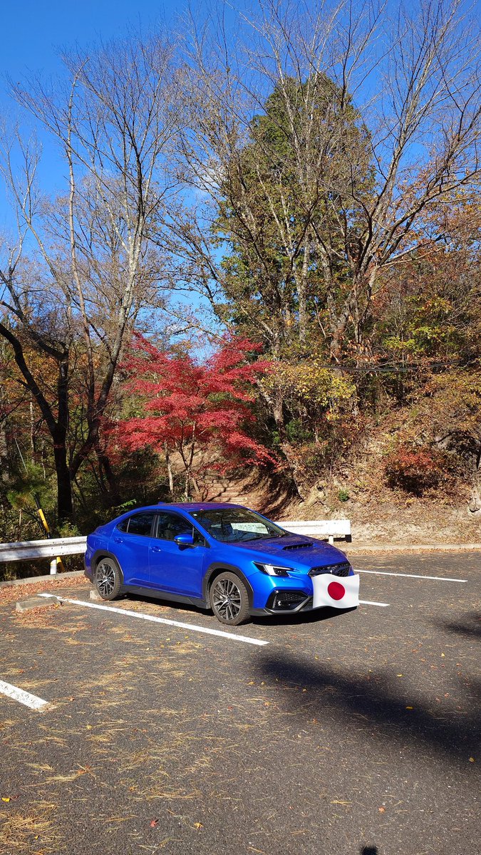 MEGAMATTYA's tweet photo. 木曜日に三河湖園地に行ってきました。
ダム湖の周りにちょっとした散策路があるんですがあんまり人が居なくて良い所でした。
二度寝の誘惑に負けてなかったらもっとのんびりできたのに。 https://t.co/AQRWh1jGyQ