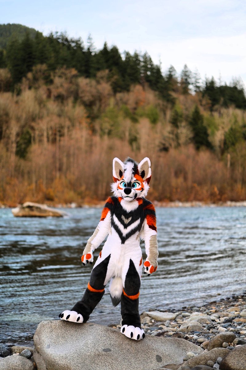 Come to the mountains with me! 😊

#Fursuitfriday

📸 <a href="/SonoxxLion/">Sonoxx 🥖</a> 
🧵<a href="/Zuri_Studios/">Zuri Studios</a>