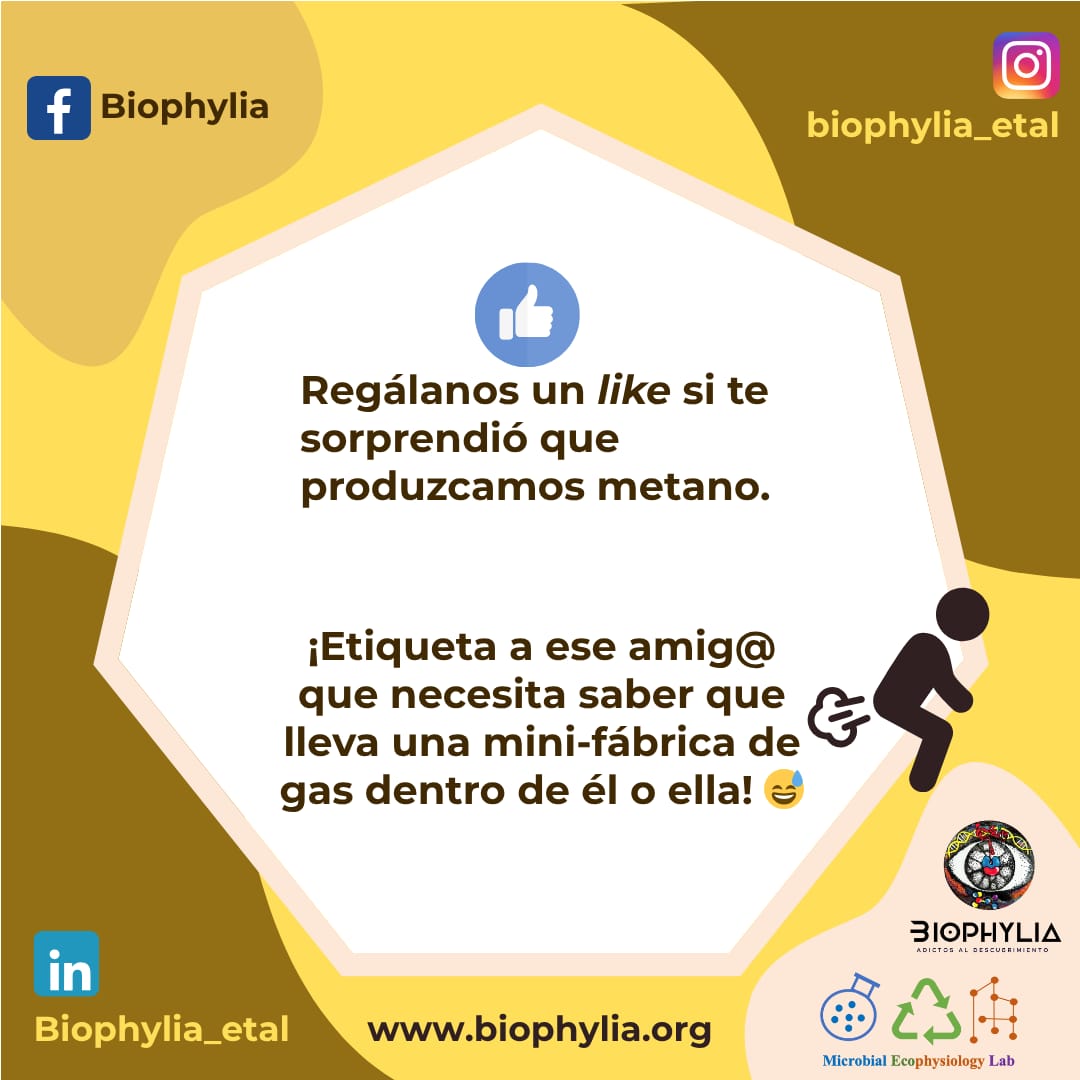 biophylicos's tweet photo. https://t.co/A4R3ZtapO6