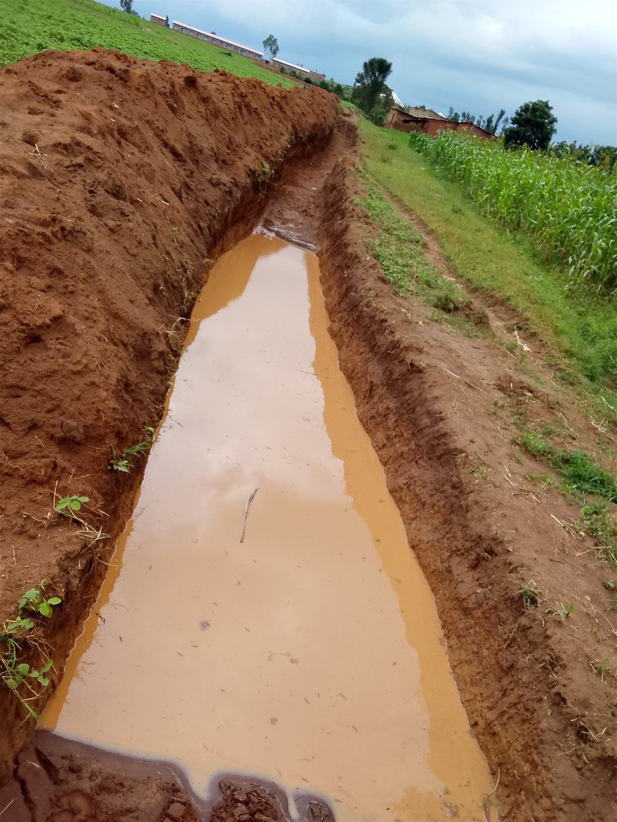 kirabo_jane's tweet photo. @RwandaParliamnt Muzatwibuke Nyagatare Kaminuza y'U Rwanda ishami rya Nyagatare ryadufungiye umuhanda ntitukibona Aho kunyura https://t.co/6rLcHxRBZm