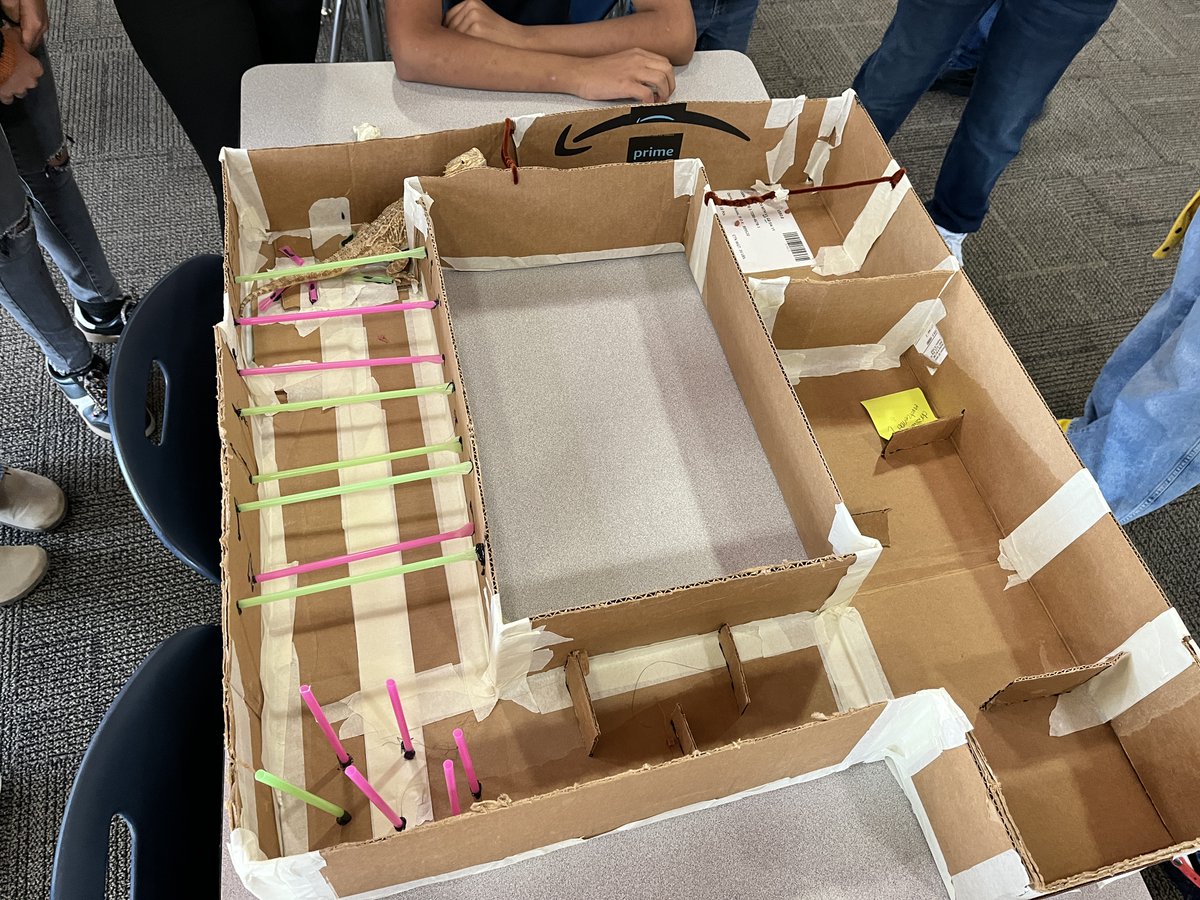 BookStackBlack's tweet photo. Everyone, meet our bravest test subject, Bowser, the library lizard! STEM students built challenging mazes, and this cool customer helped them gather data on animal behavior and maze design. She earned extra crickets for her contribution to science! #LibraryPet @SheldonISD @TXLA https://t.co/mlrNTKLOtL