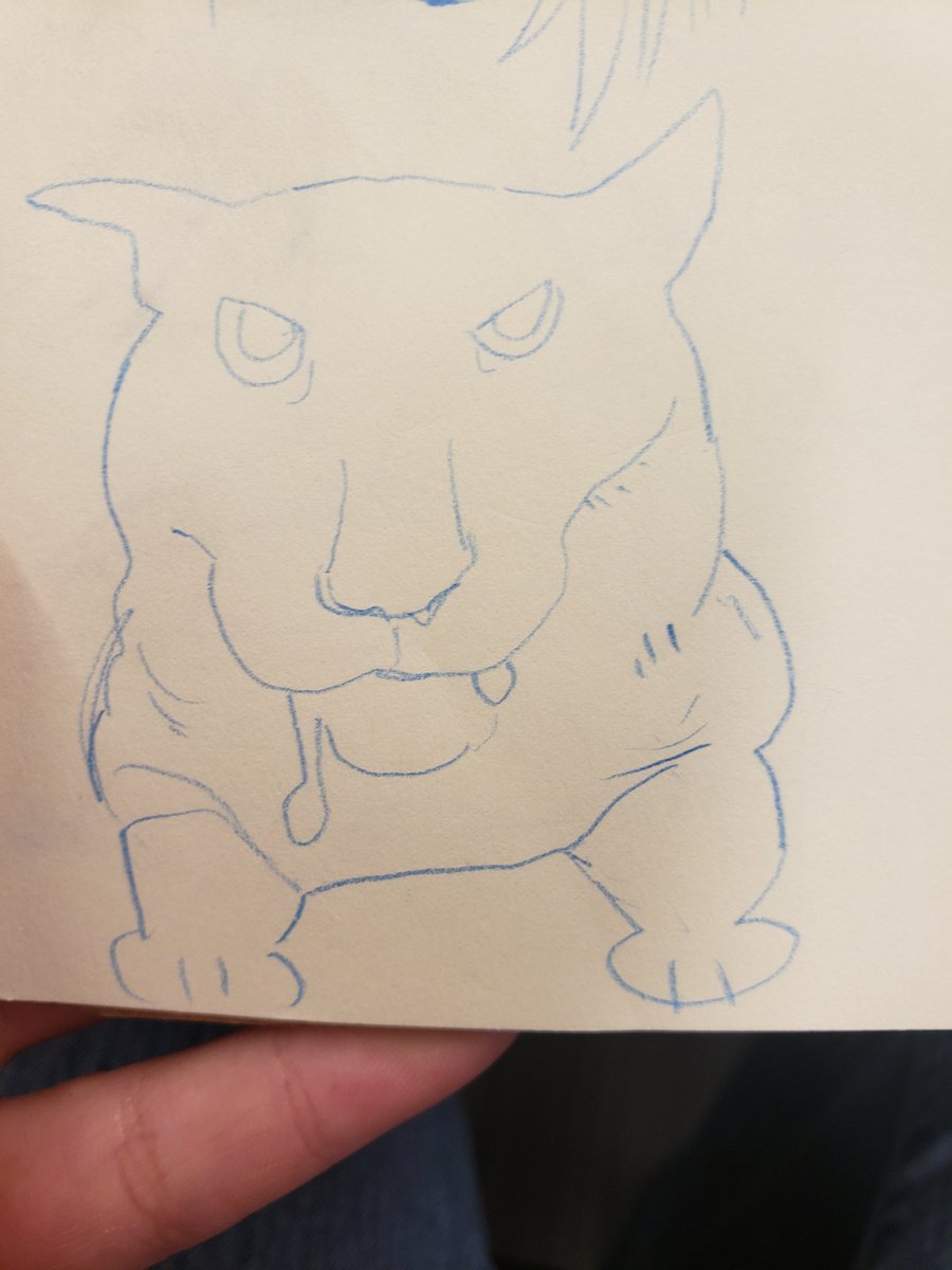 drawing cats at work