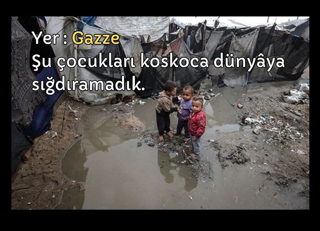 aye_ozcelik_'s tweet photo. GAZZE'DE KATLİAM VAR 🇵🇸

UNUTMA UNUTTURMA‼️

Filistin İçin Birleşin
#UniteForPalestine https://t.co/3kswDp3AQu