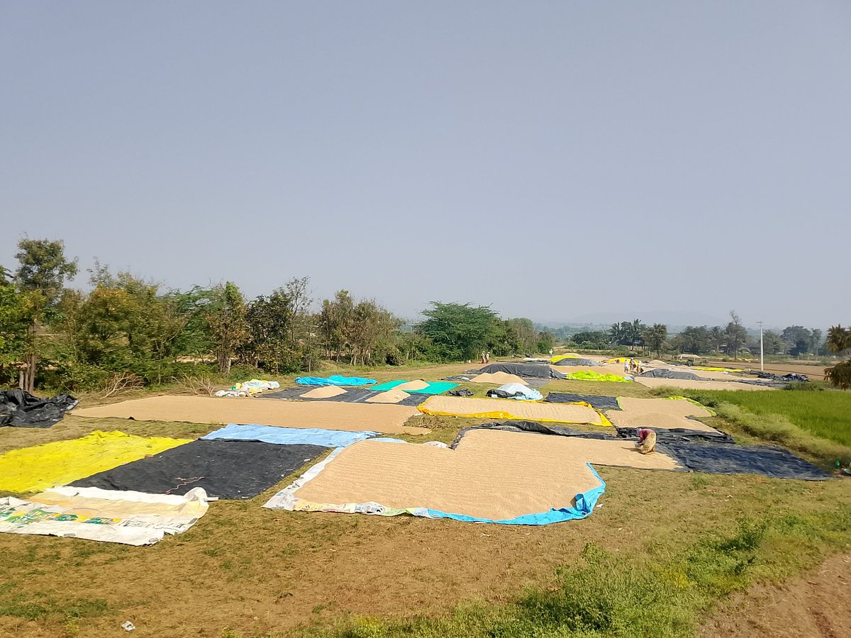 Sharath Chandra Reddy tweet media