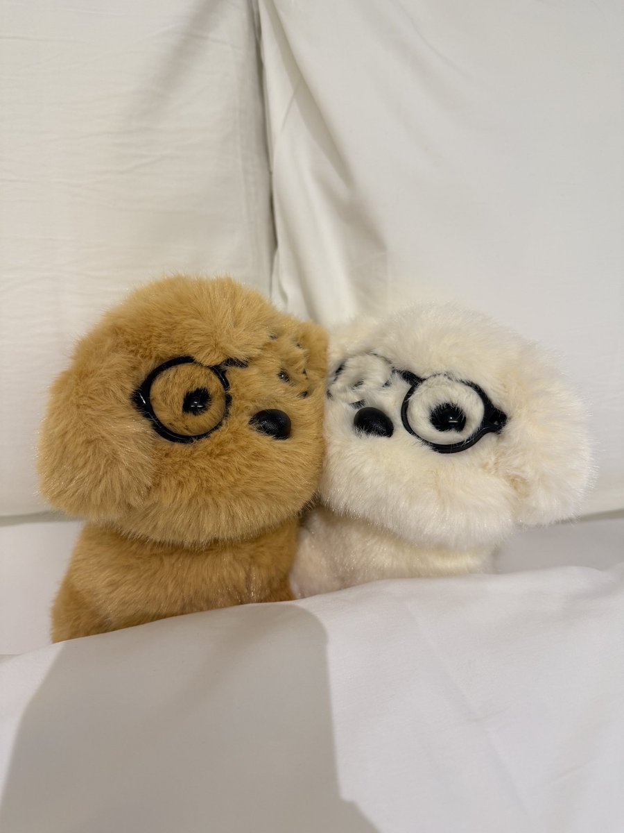 kittyzmtk's tweet image. 