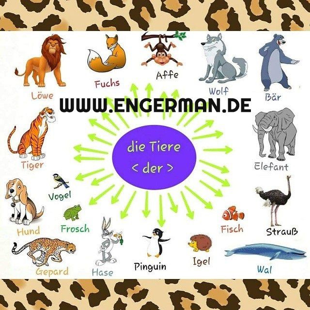 learngermann's tweet image. 