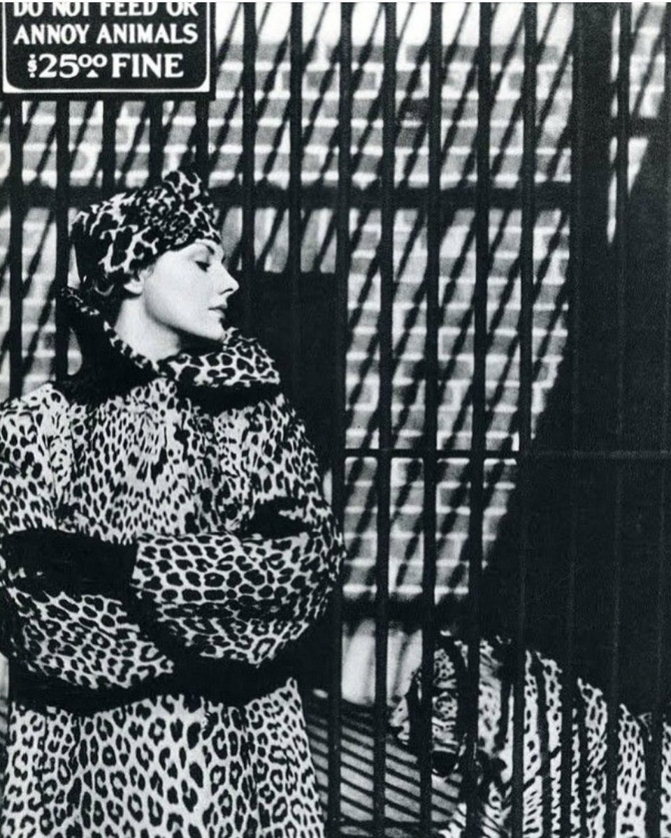 NUTTY_VINTAGE's tweet photo. 🐆vintage leopard coat🐆
【Nov. 22th 2025 new arrival】
▫︎50's Leopard faux fur coat :new!
▫︎50's monotone knit tops :new!
▫︎50's black velvet capri pants :new! https://t.co/GX4NX5Z6Kq