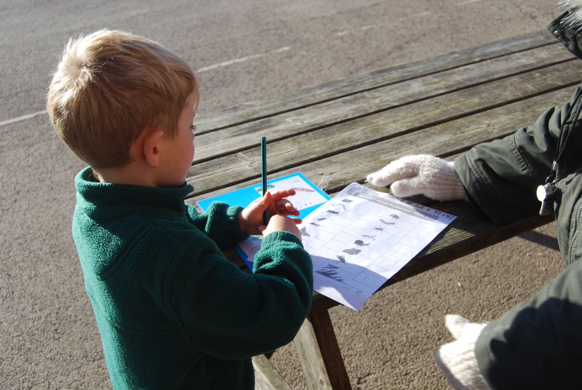 Ivy Bank Primary tweet media