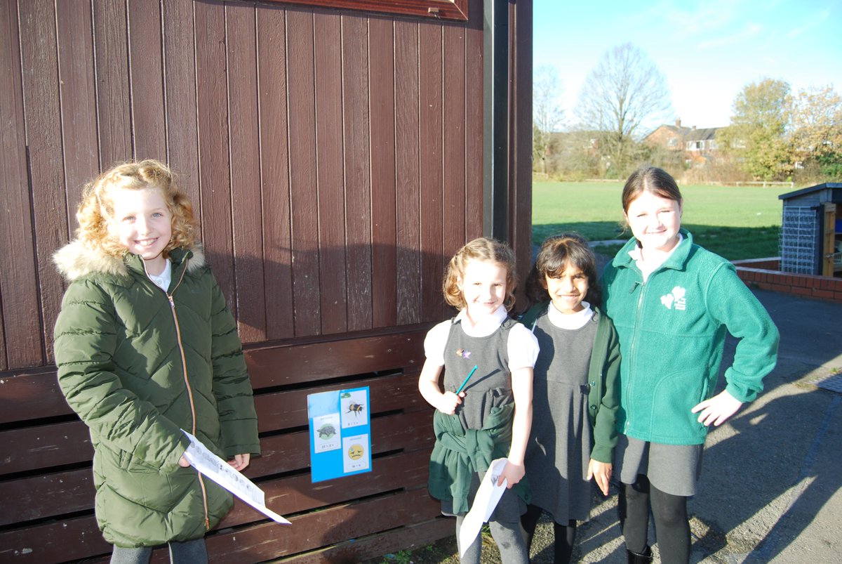 Ivy Bank Primary tweet media