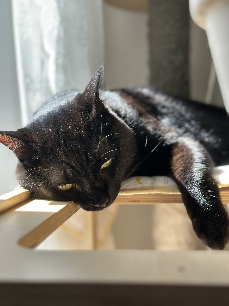 수리도 힙하게 잘 수 있게 부탁드려요~~