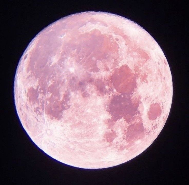 fairiehaze's tweet image. pink moon