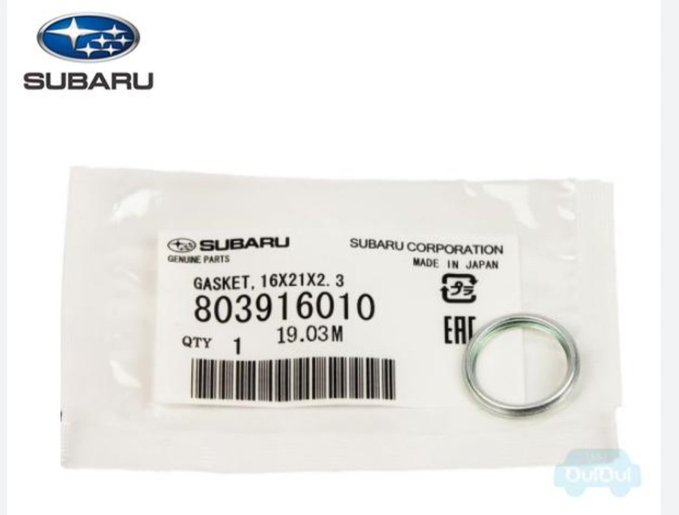 海月　秋葉原コンカフェのツイート