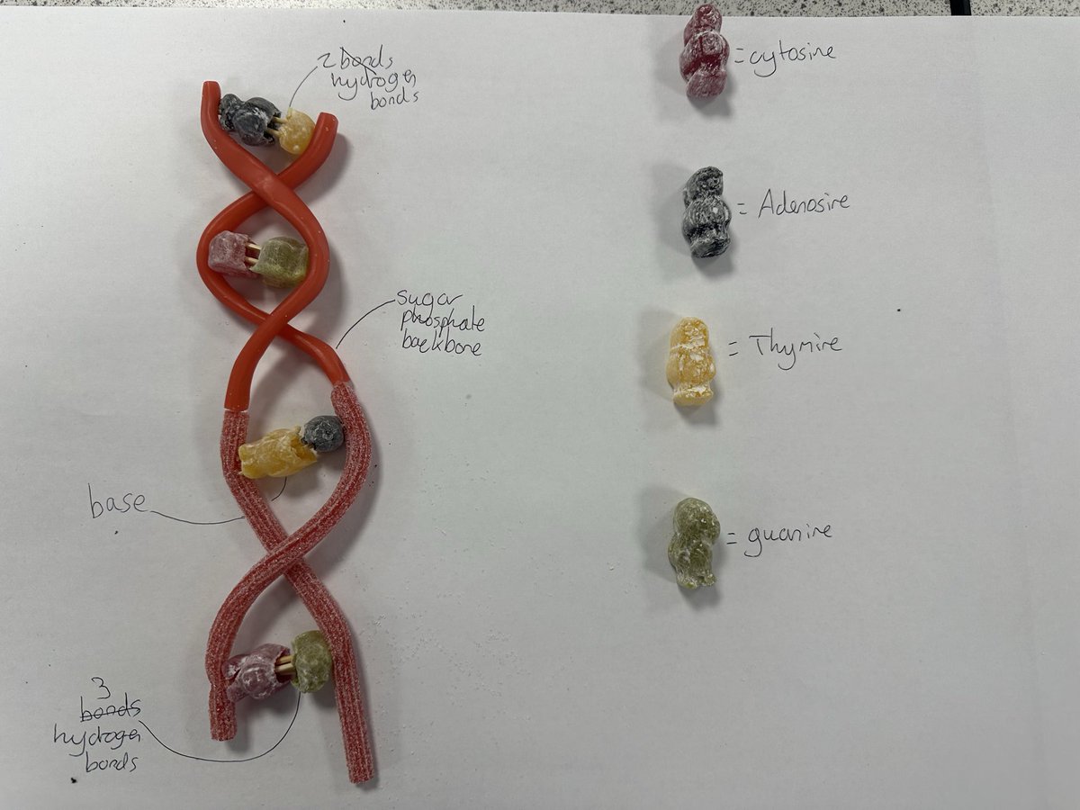 Biology at King's tweet media