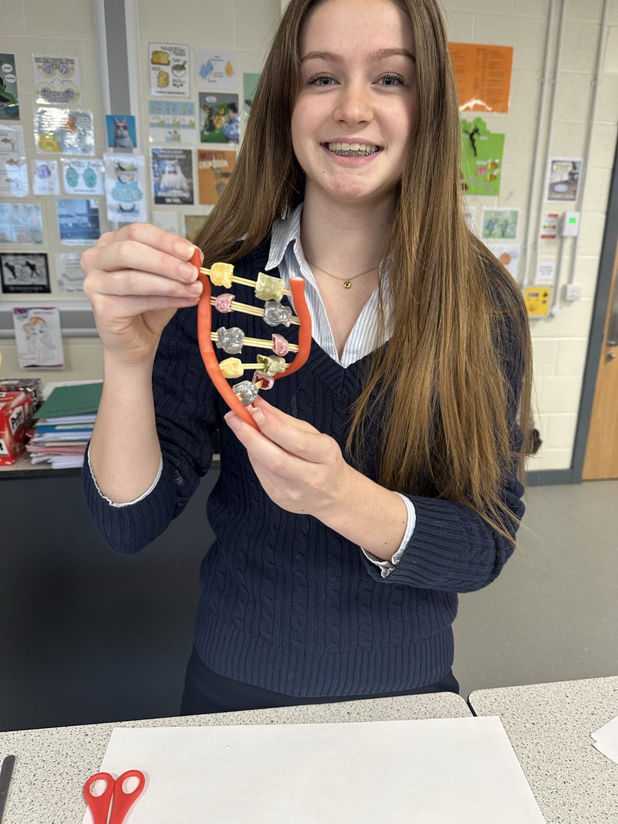 Sweet DNA modelling with the Year 12 🧬