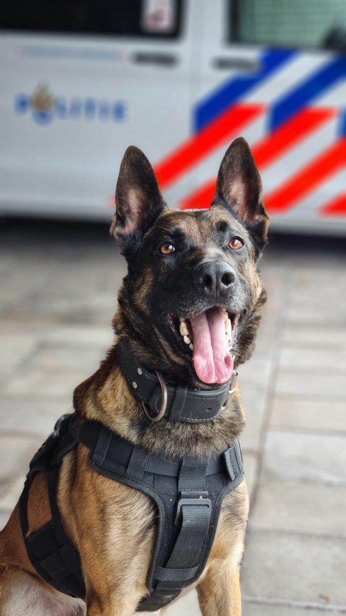 Inbraak bij kraanwagensbedrijf in Hoorn