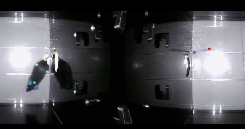 Telias Lab tweet media