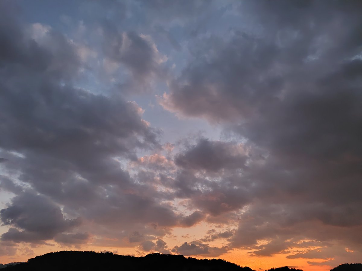 11月21日(金)

孫ちゃんが 
「ばあばなら サンタさんに手紙届けてくれる！てパパが言ってたから…」って手紙預かってしもたっ🎅🏻´-
〇イザらスの広告に 自分の欲しい物に印をつけてあったわ😂

こらっ 息子よ
サンタさんは どこに居るんや？🤣

 #朝焼け  #夕焼け
 #空が好き