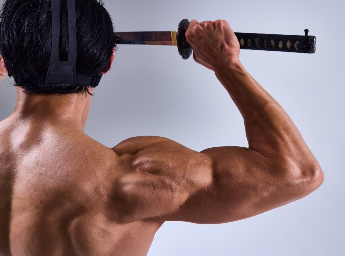 JPparkGuardian's tweet image. 「肩は3個に割れている」という昔のツイートに反応があったので、電子資料集のお写真を掲載しておきます

別角度だとこんな感じです