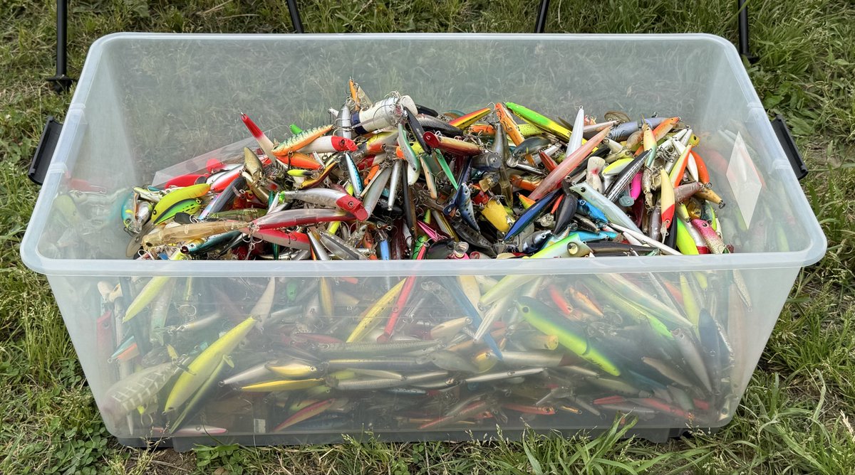 みぅーみぅー (@miumiu_kawai) / Posts / X