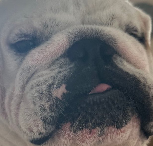 maxwell326's tweet image. 