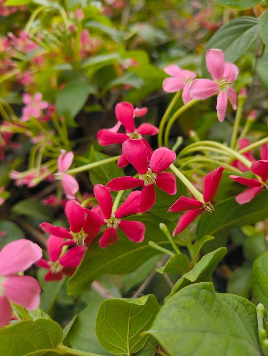 dsultangrp's tweet image. It’s #FreeFriday  
Feel free to share any photo you like！