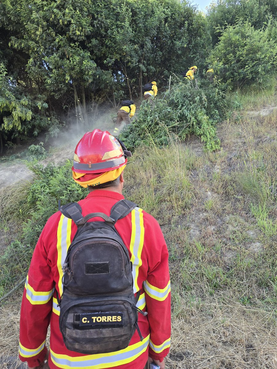 CONAFBiobio's tweet photo. Participamos de un simulacro de incendio forestal en la Población San Jorge de la comuna de #Concepción.

Se busca evaluar y mejorar la capacidad de respuesta de los equipos de emergencia y la comunidad.

Instancia coordinada por la @Muni_Concepcion https://t.co/U7liXFDAaP