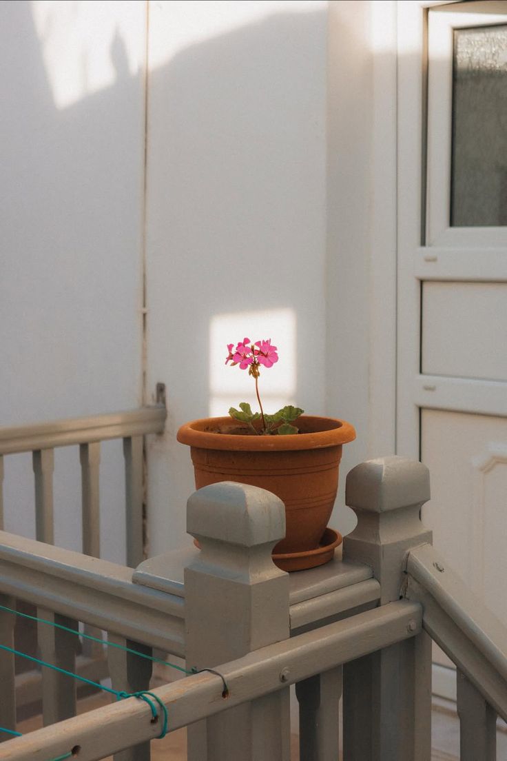 keskinrasit's tweet image. Işığını buldun mu?