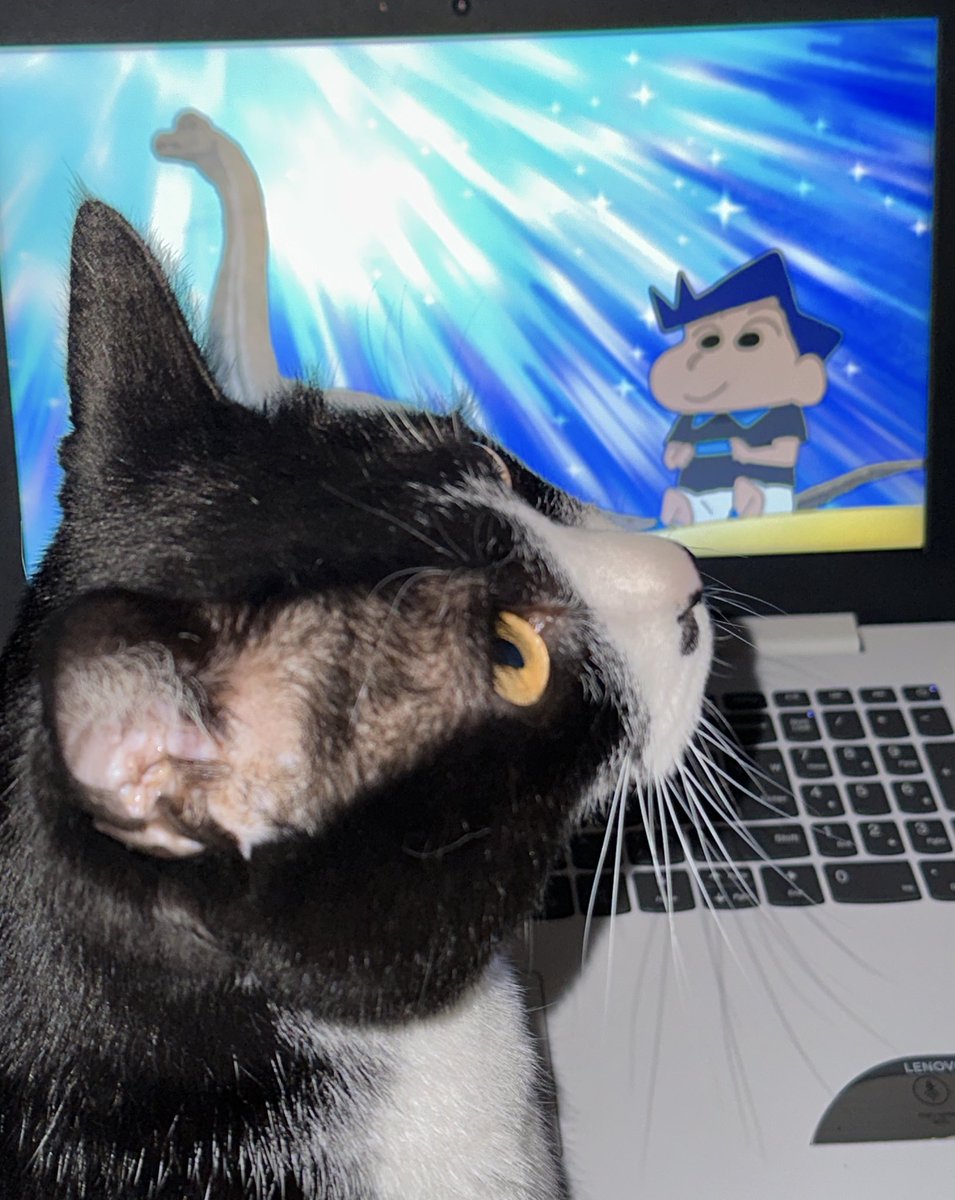 마루가짱구를나보다더집중해서봄🫰😽