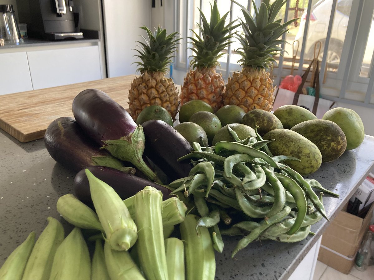Vrijwel elke vrijdag rondje markt. Biologische groente, betere smaak, kleine ondernemers supporten en zelf gezonder eten: love it. De kleuren en geuren hier: het is één groot feest. Dit was de oogst van vandaag, we gaan weer genieten komende week 😋 #leveninSuriname