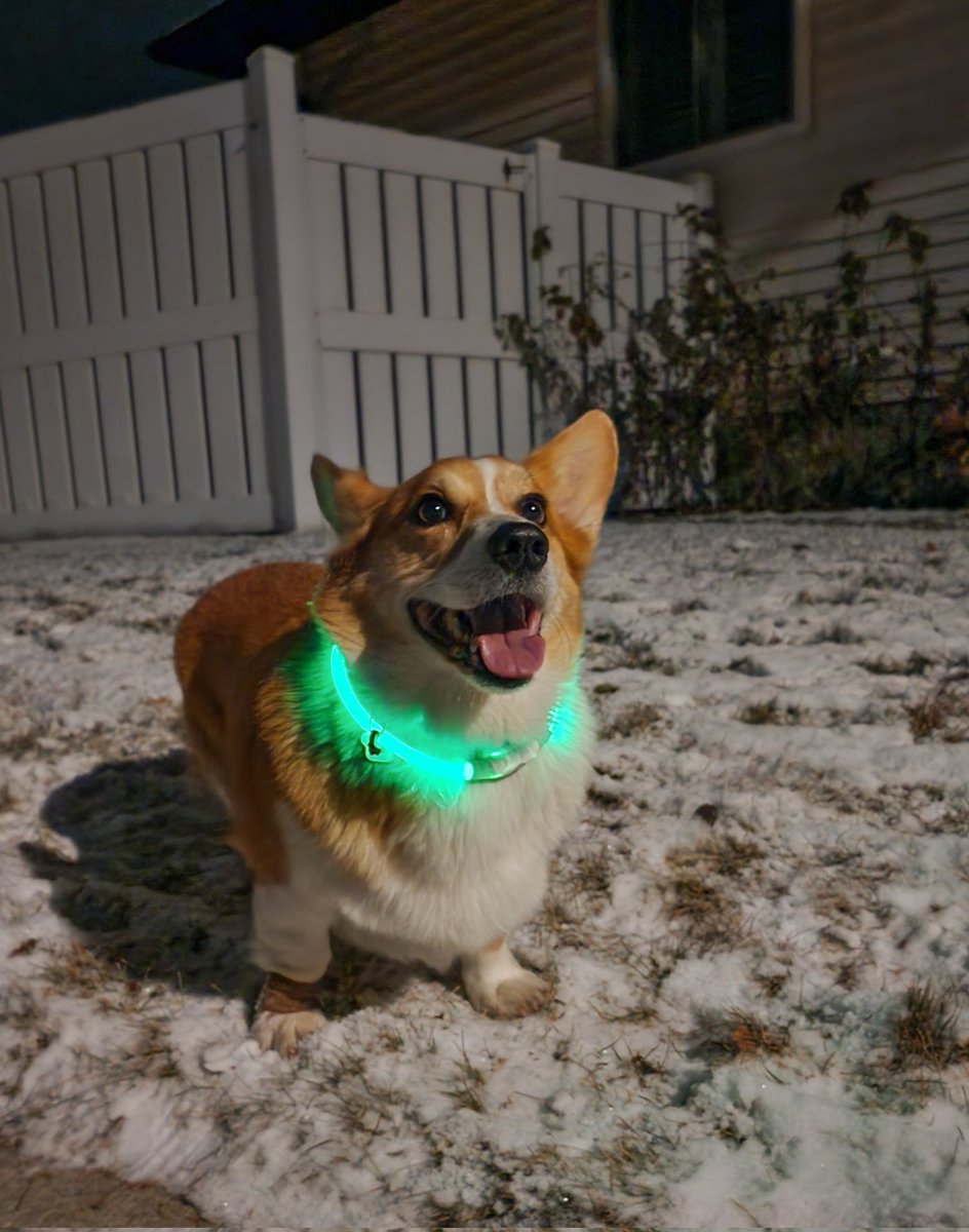 Rockyscrazylife's tweet image. Happiness is Friday!!!