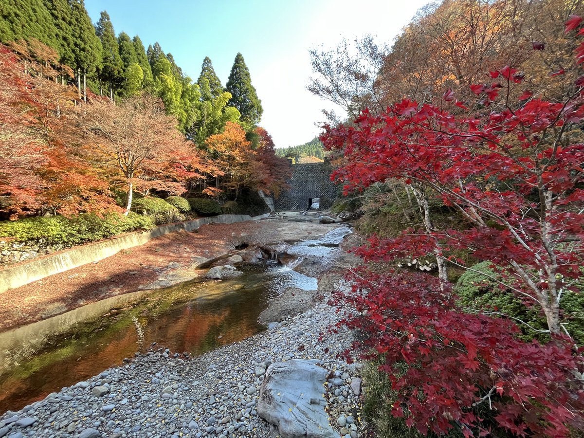 秋月城跡から英彦山へ紅葉を見に行ってきました。
秋月はまだ緑が多く、見頃は今月末くらいになりそうです。
英彦山は場所によっては落葉が進んでいましたが、全体的にはちょうど見頃ですね🍁