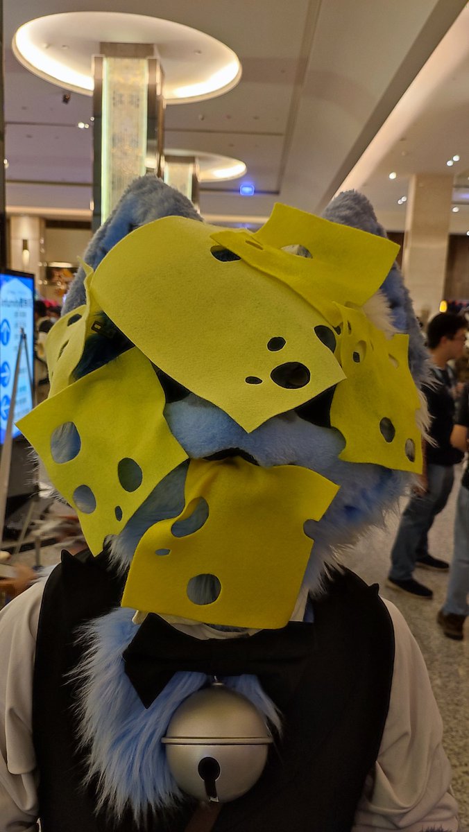 三次元乗貳貓 tweet media