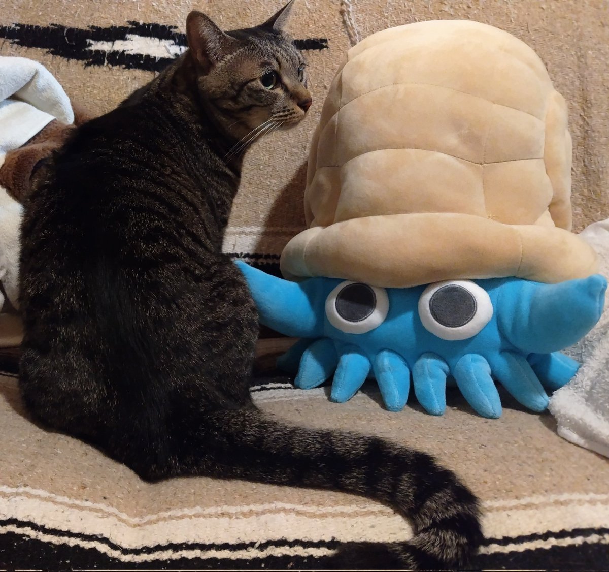 am(あむあむ) (@dot_amaguri3333) / Posts / X