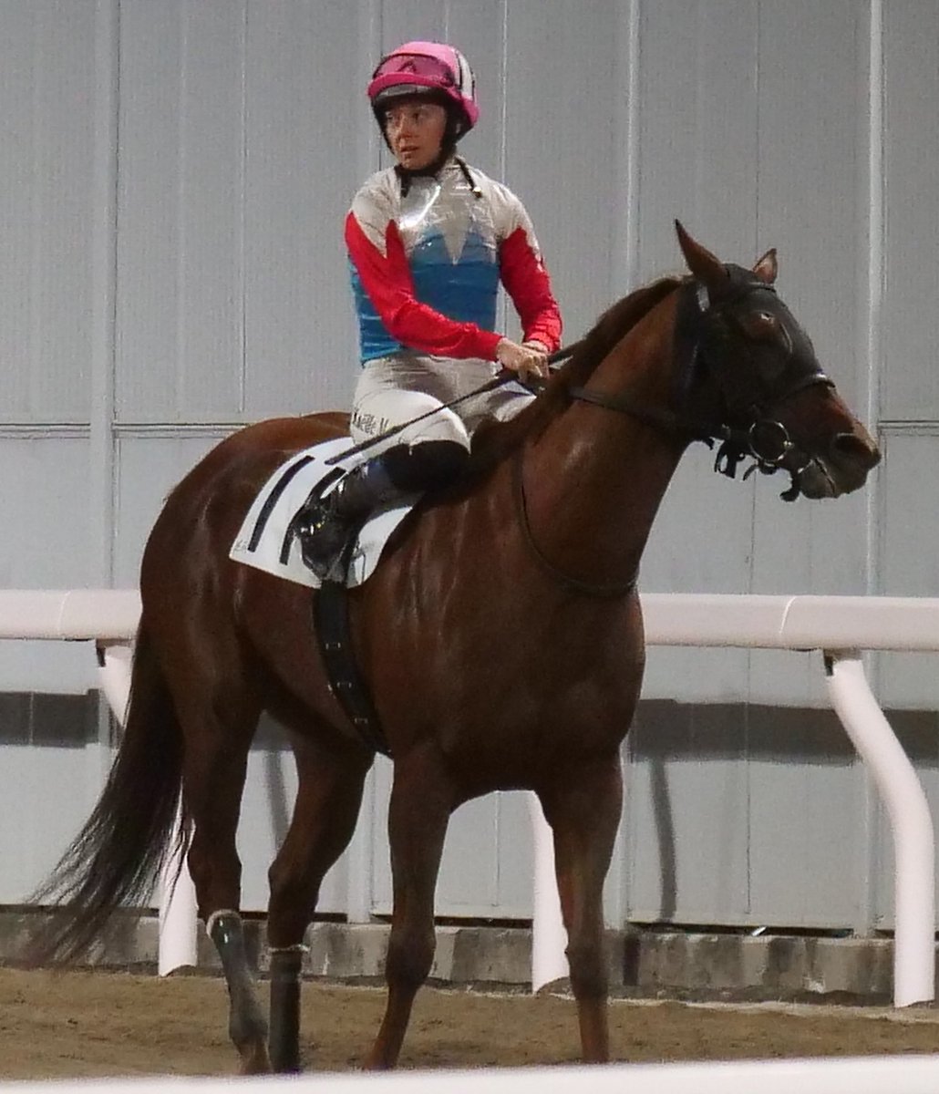 2025.11.21 川崎競馬６R
フェイントライト＆M.ミシェル
#フェイントライト
#MickaelleMichel
＃川崎競馬