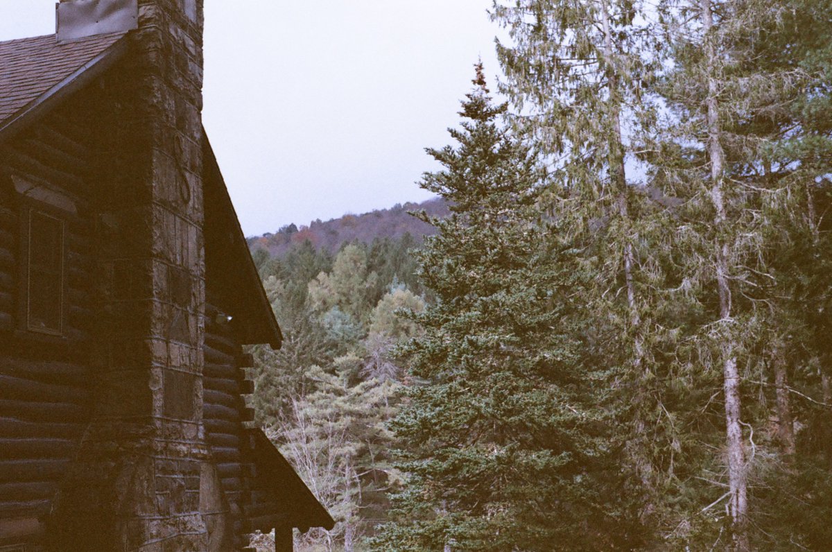 SimulationRot's tweet image. 