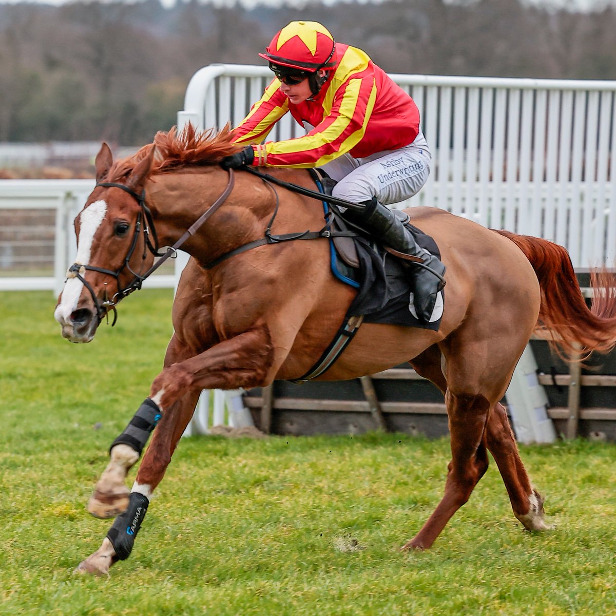 THOMAS MOR wins the Beginners' Chase at Ascot 👏

Lucky Place finishes last of the three runners 😱