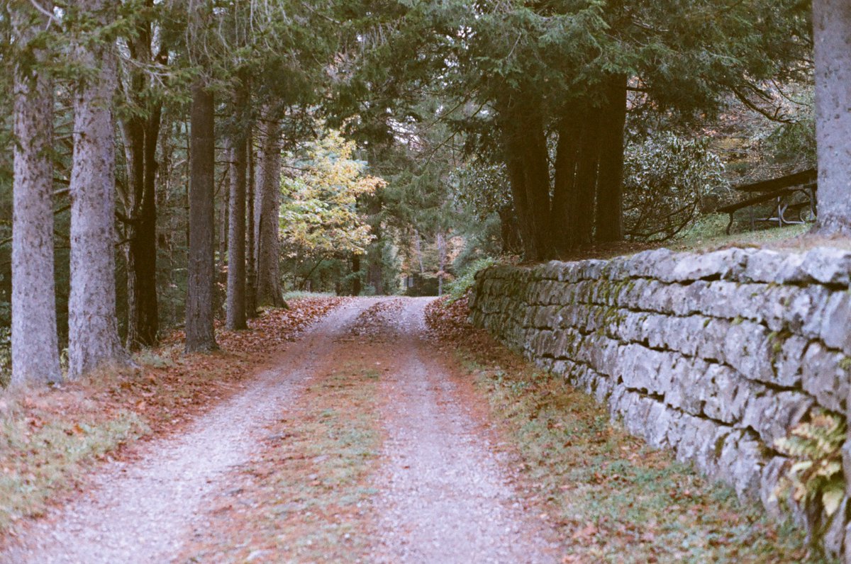 SimulationRot's tweet image. 