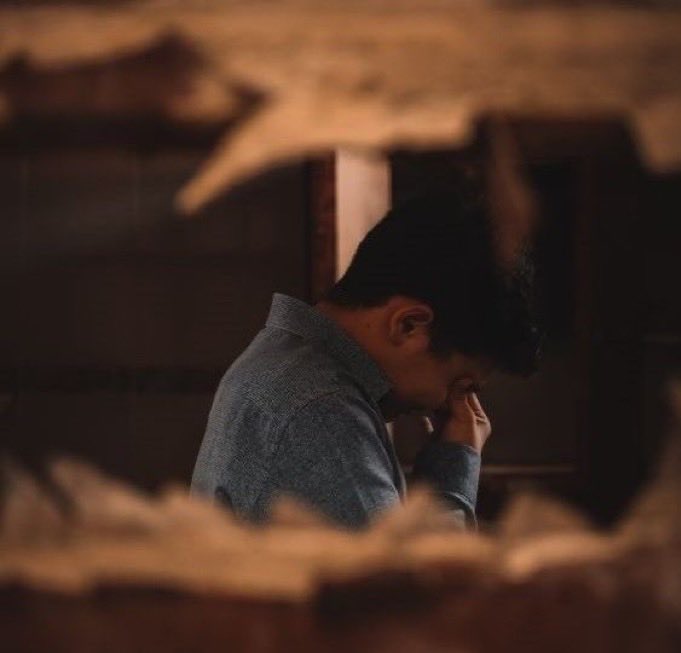 🇸🇦, tweet media