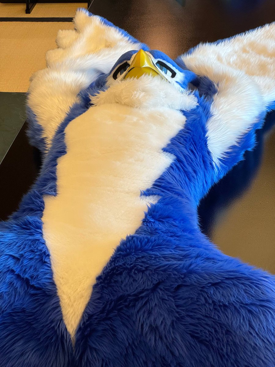 マーケーターーーーまぁ…好きにしろう…🙃
#fursuitfriday